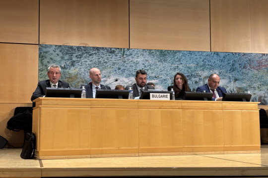 Зам.-министър Кръстев представи пред ООН политиките на България за правата на децата и хората с увреждания