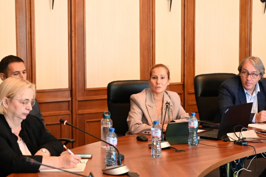 Заместник-министър Алексова-Великова обсъди демографската стратегия на България с екип на Световната банка