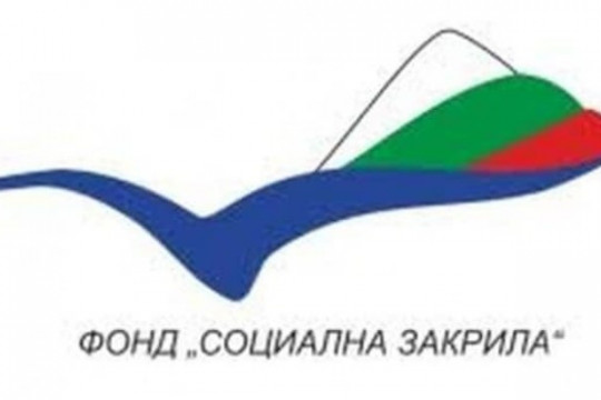 Фонд „Социална закрила“ финансира закупуването на лекотоварни автомобили за Домашен социален патронаж