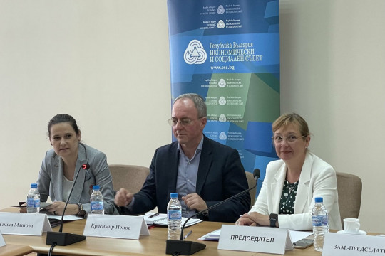 Заместник-министър Машова: Решенията за справяне с бедността могат да бъдат приложени само с общи, координирани действия