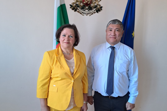 Зам.-министър Върлякова участва в международен семинар за обучение на мигранти