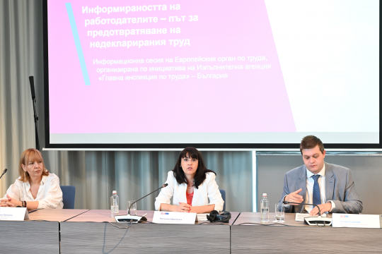 Зам.-министър Ефремова: Недекларираният труд оказва негативно влияние върху интересите на цялото общество