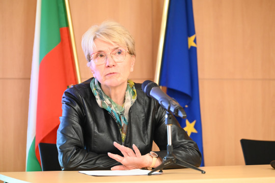 Зам.-министър Елка Налбантова: Необходим е единен финансов стандарт за приемната грижа