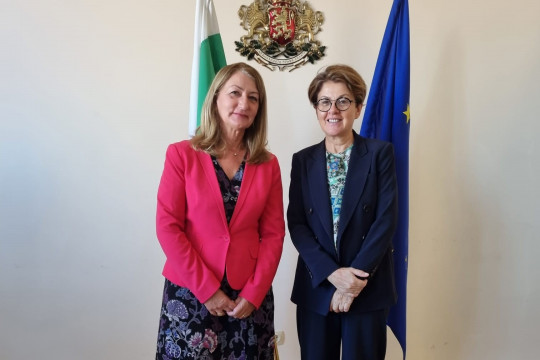 Зам.-министър Василева представи подкрепата към непридружените деца в България пред представители на Съвета на Европа